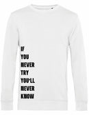 Sweater - Never Try, Never Know