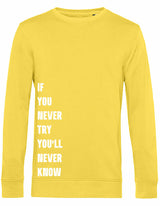 Sweater - Never Try, Never Know Yellow Fizz